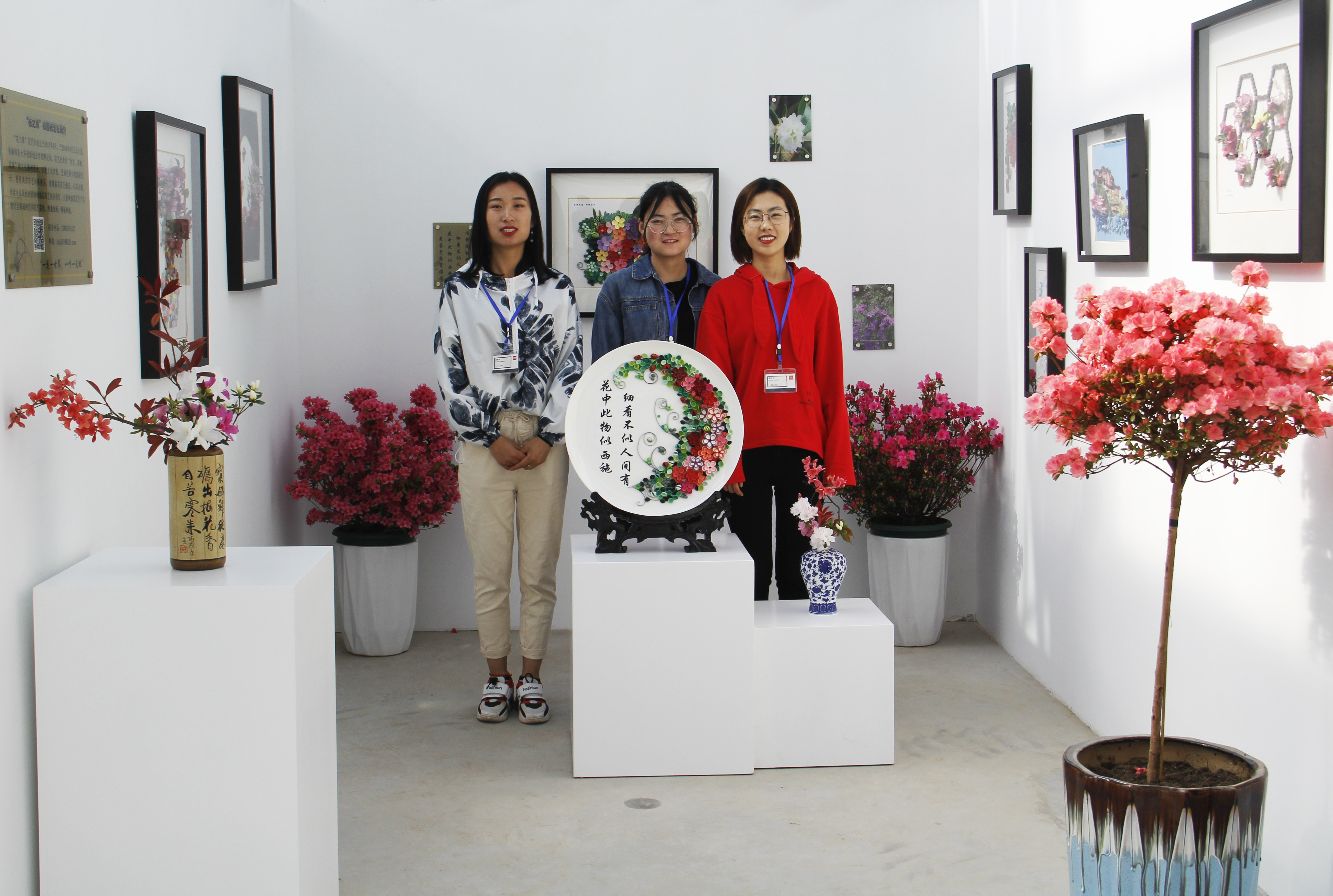 第十六届杜鹃花展--4号.JPG