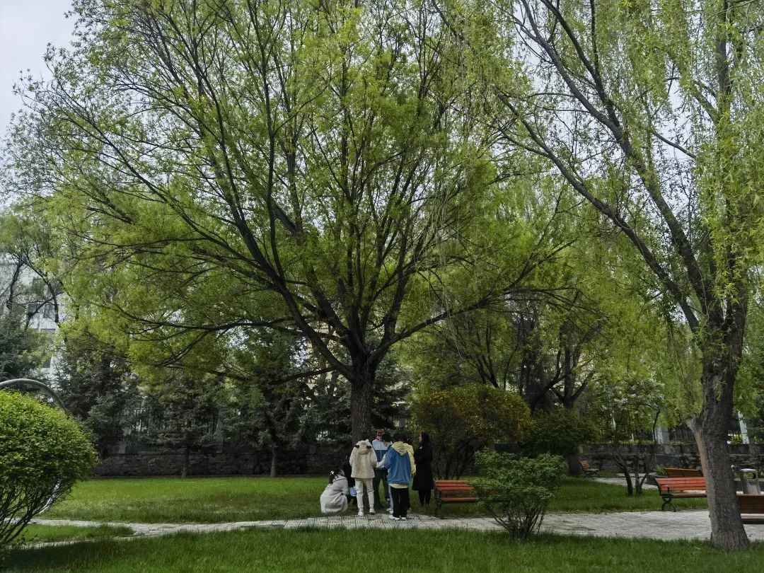 微信图片_20230511111213.jpg