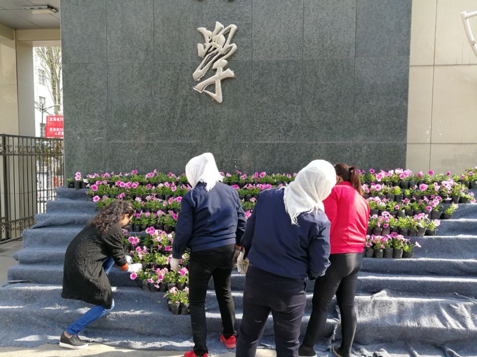 QQ图片20170503165119.jpg