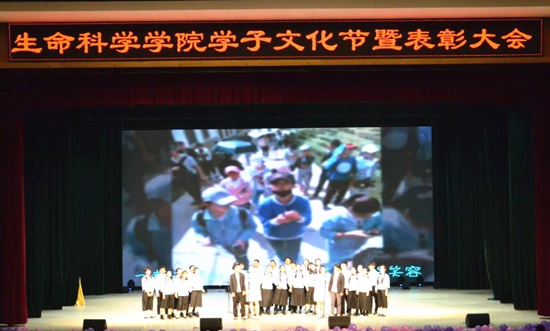 表演瞬间.jpg