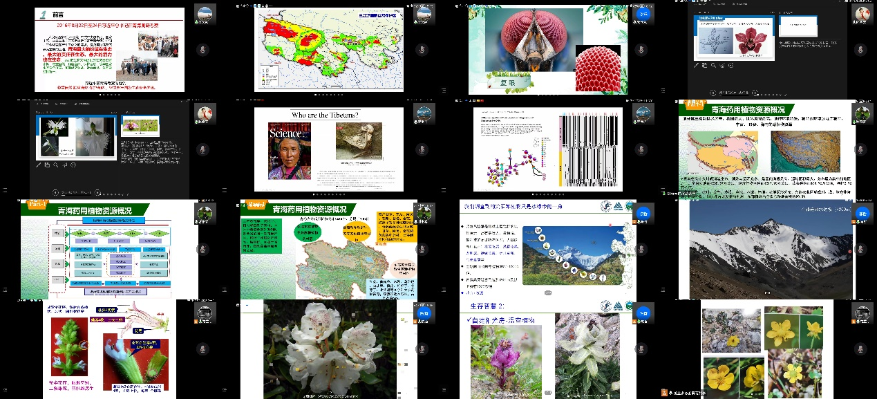 图片 2.png
